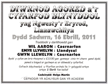 diwrnod agored 2010