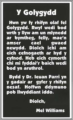 golygydd
